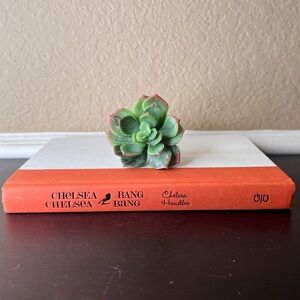 Chelsea Chelsea Bang Bang Autobiography Book, Comedian, Funny, Humor, Life Story